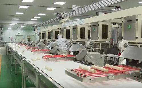直擊復工首日 山東16市企業齊頭并進 家用紡織制成品制造大項目引領春潮